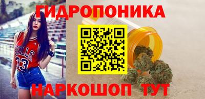 тгк Кандалакша