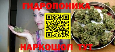тгк Кандалакша