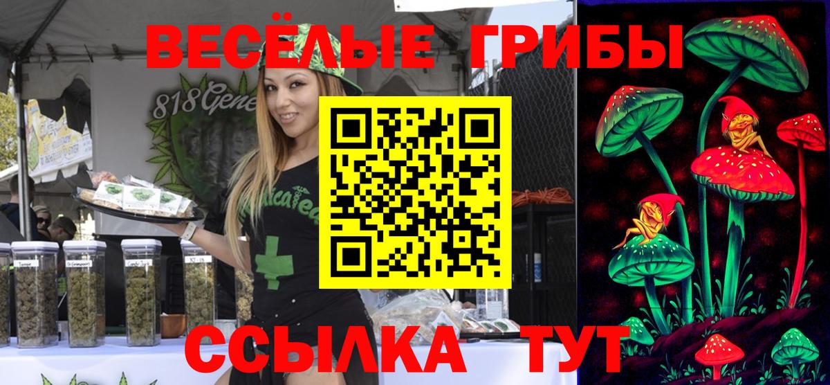 Псилоцибиновые грибы GOLDEN TEACHER Краснокаменск